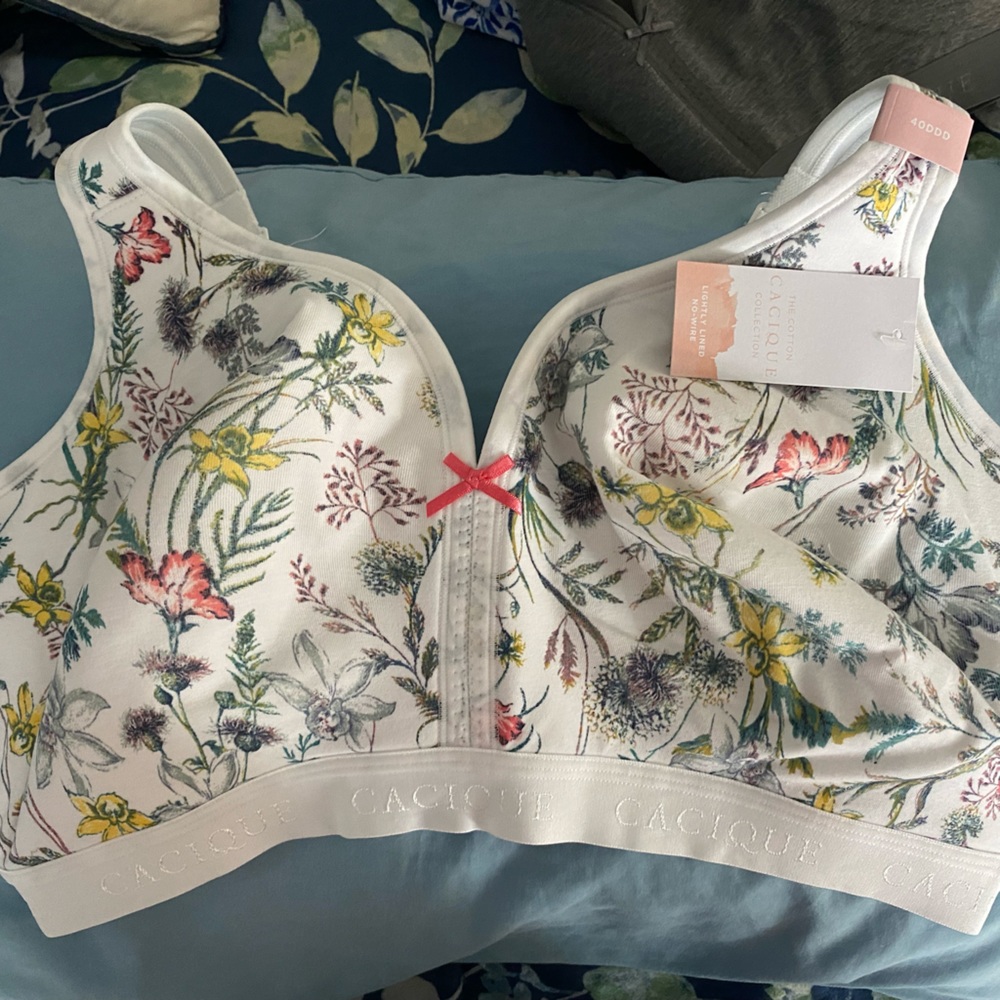 Lane Bryant Wireless Bra